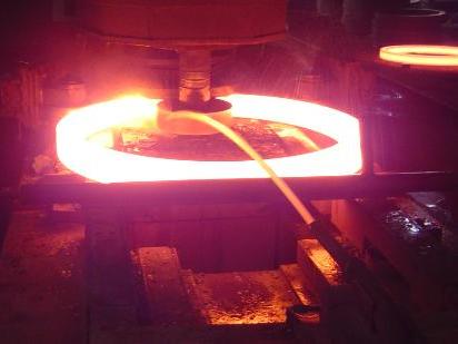 Forged flange